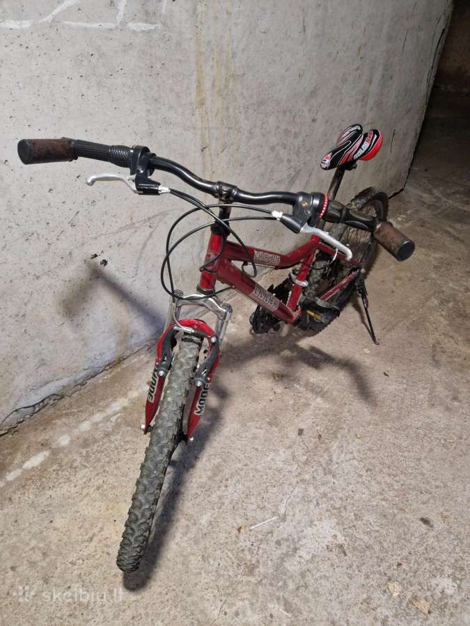 Dviratis 24 colių