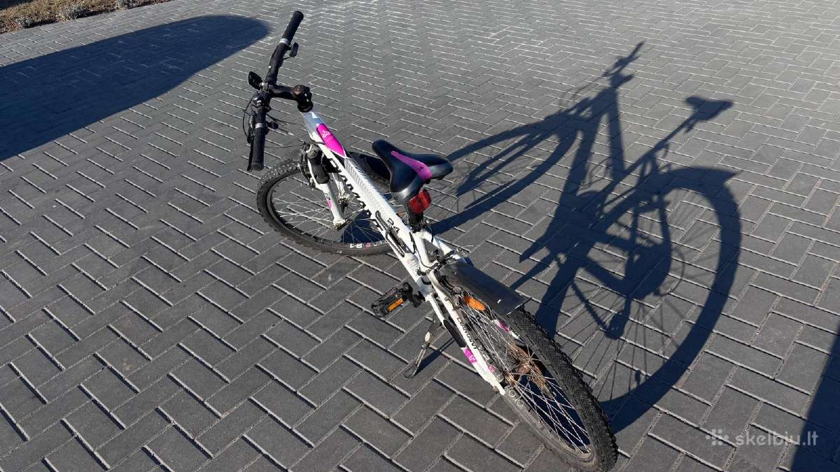 Parduodami dviračiai - nuotraukos Nr. 2