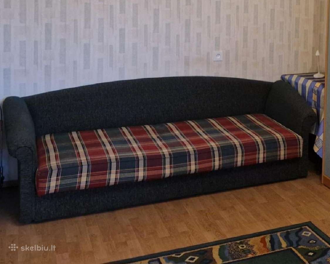 Viengulė sofa