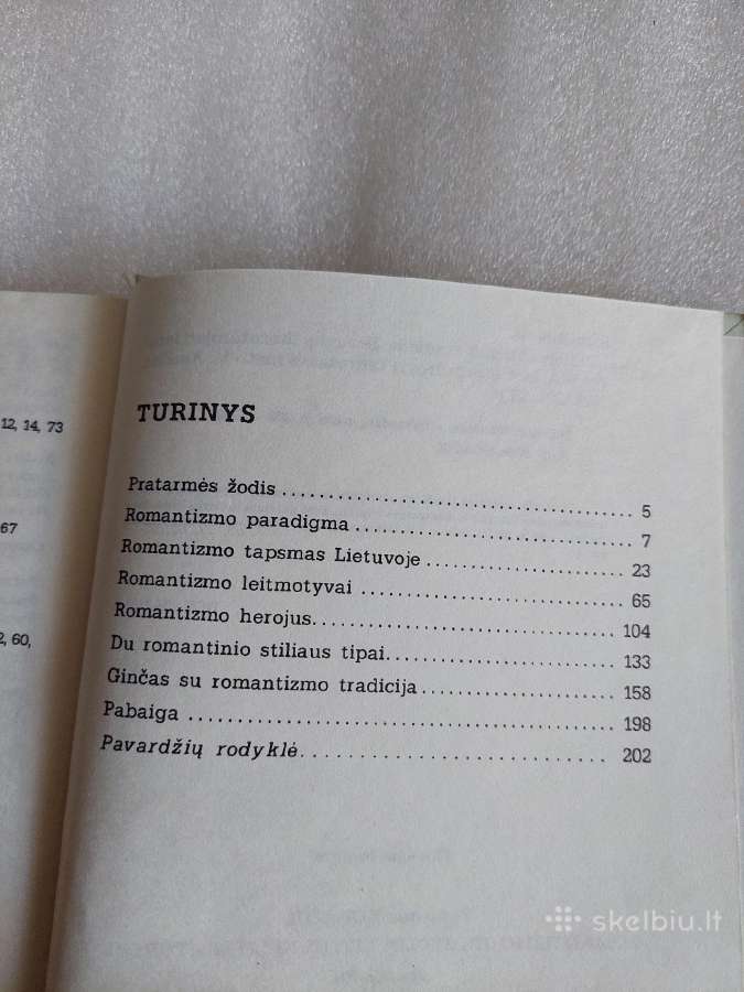Romantizmo tradicija lietuvių literatūroje - nuotraukos Nr. 3
