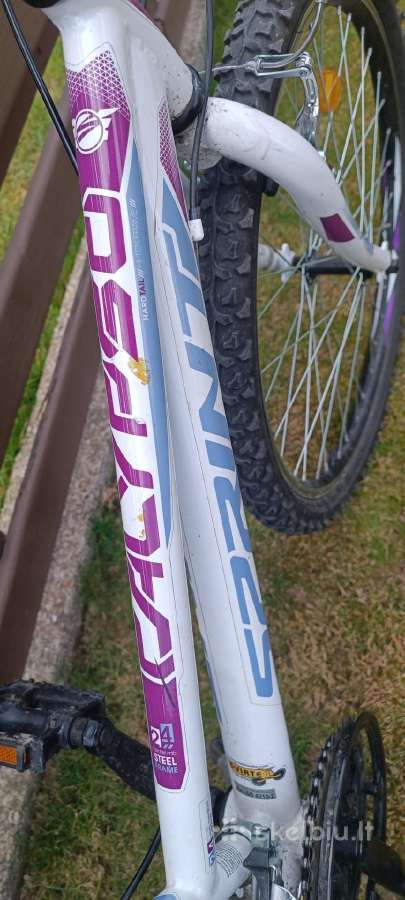 Sprint Calypso 24 - nuotraukos Nr. 3