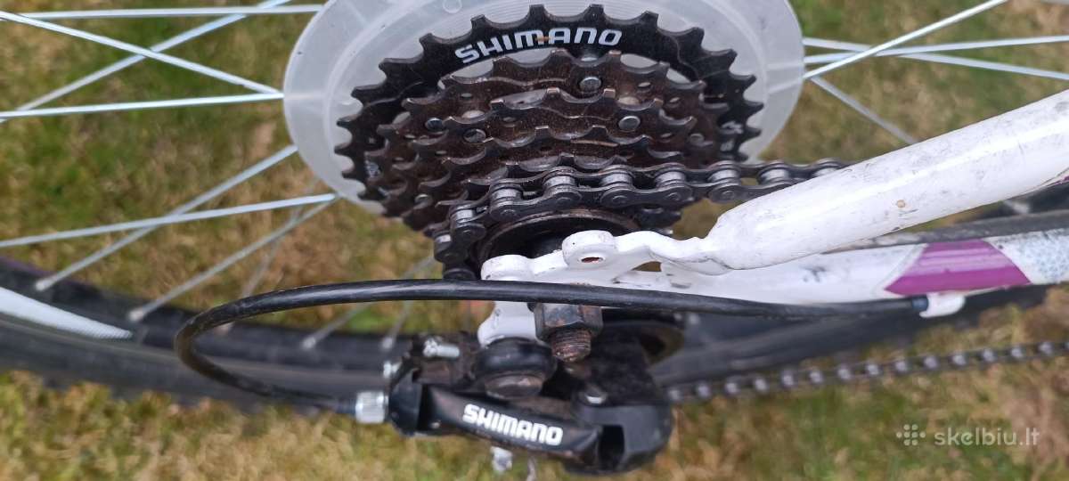 Sprint Calypso 24 - nuotraukos Nr. 5