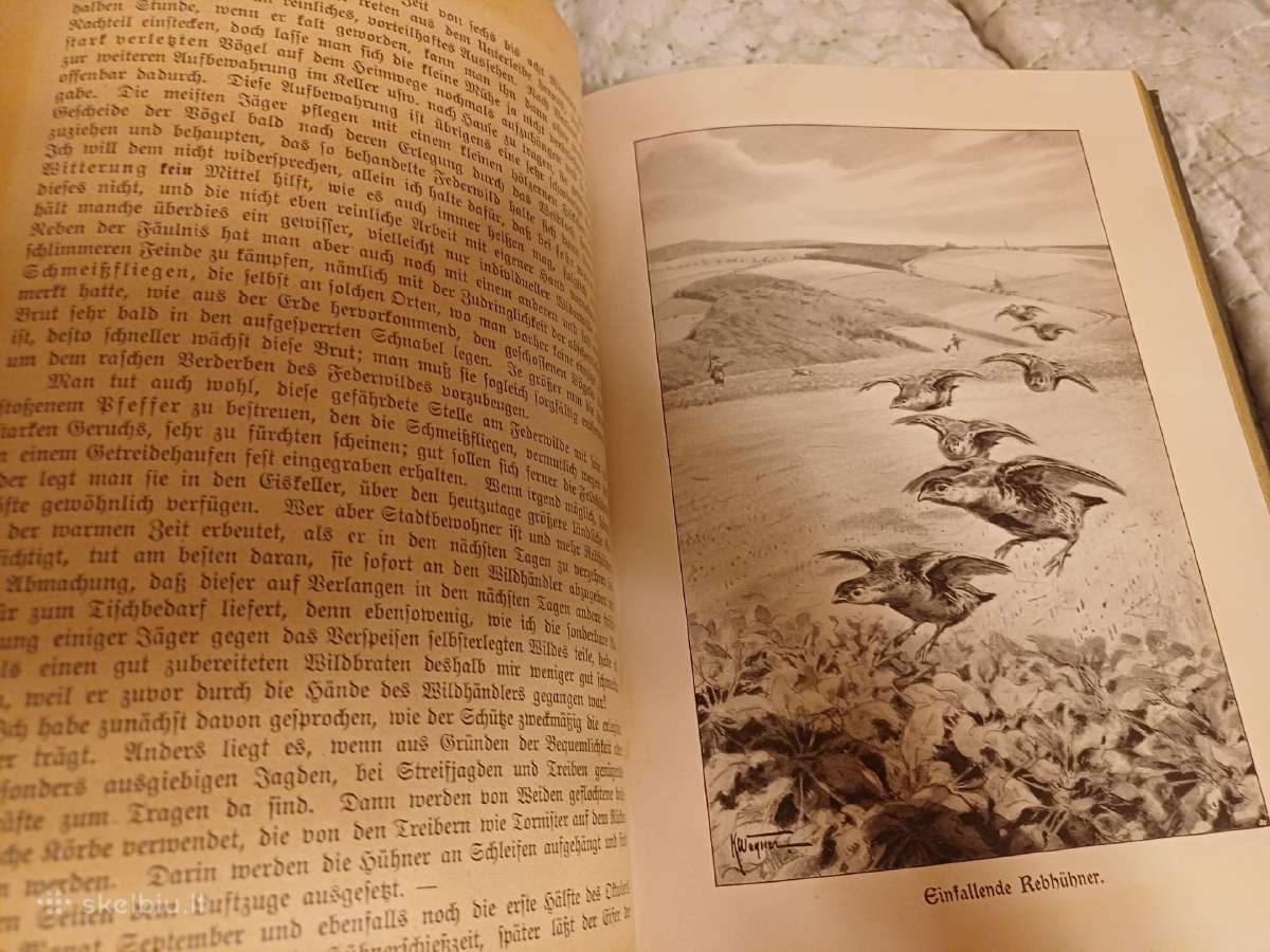 Parduodu knyga 1922m - nuotraukos Nr. 15