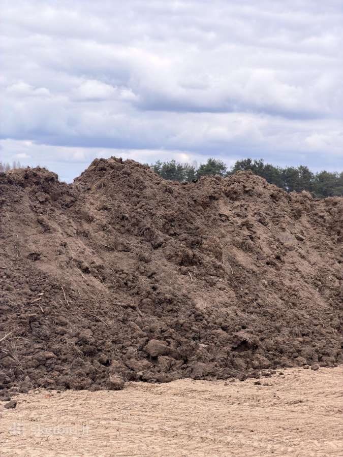 Juodžemis Molėtų rajone - nuotraukos Nr. 2