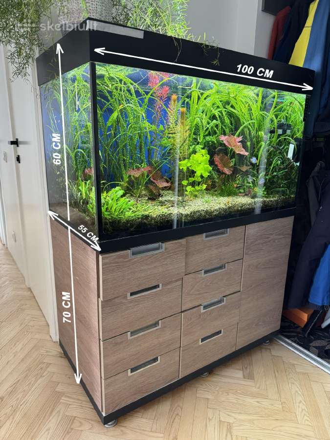 Akvariumas su viskuo