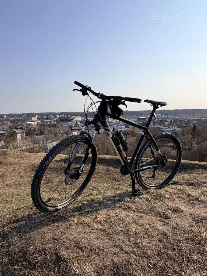 Bergamont Revox 6.0 XXL (29) - nuotraukos Nr. 2