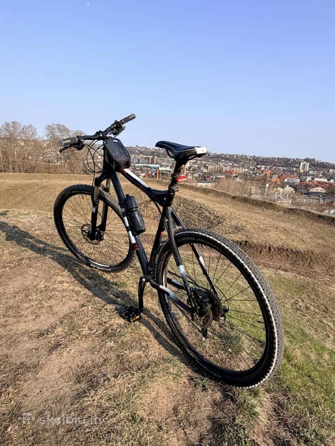 Bergamont Revox 6.0 XXL (29) - nuotraukos Nr. 4