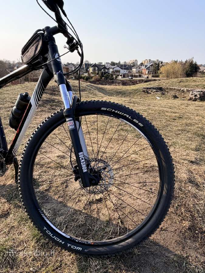 Bergamont Revox 6.0 XXL (29) - nuotraukos Nr. 5