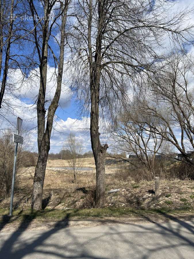 Namų valdos sklypas Dacijonuose – prie upelio - nuotraukos Nr. 8