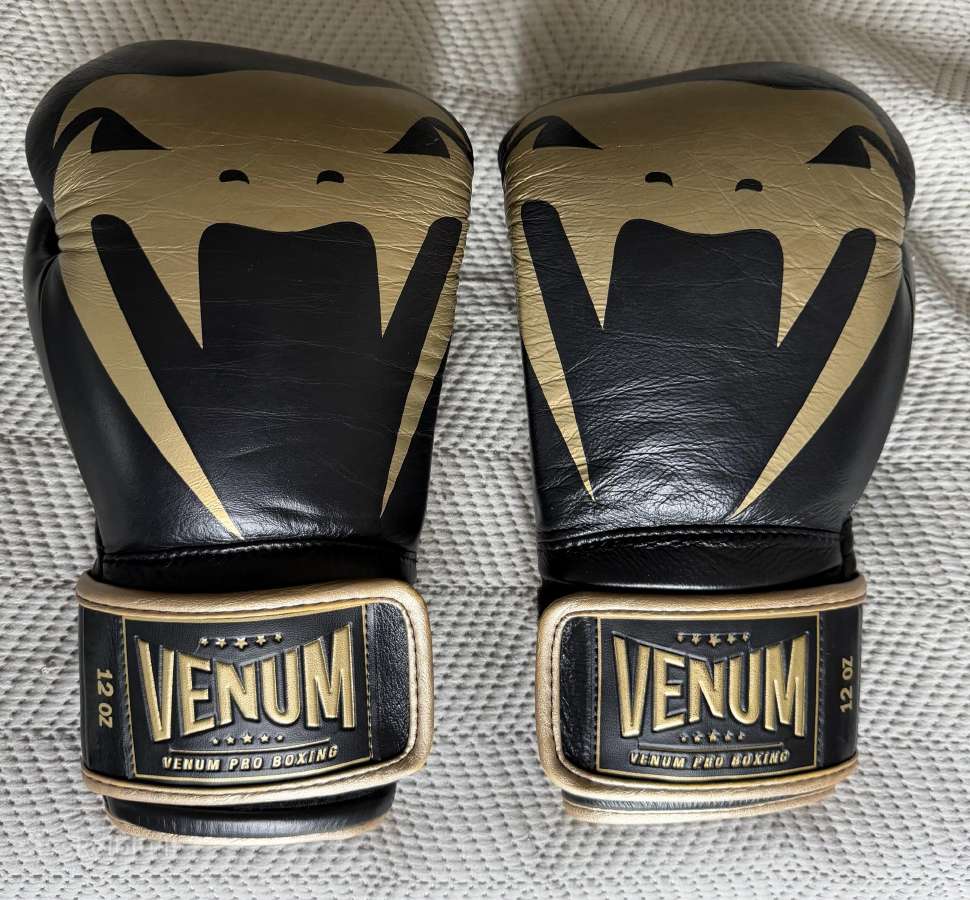 Venum Giant 2.0 Pro Boxing Gloves (12oz)