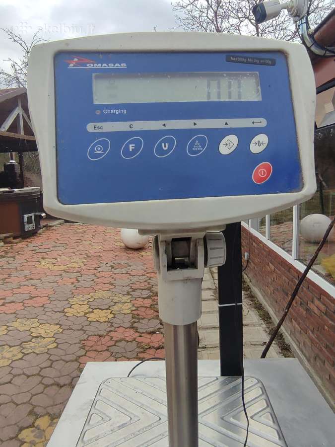 Svarstyklės platformines