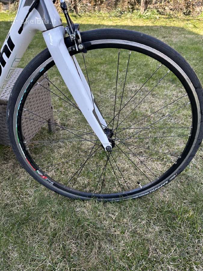 Bianchi Intenso - nuotraukos Nr. 3