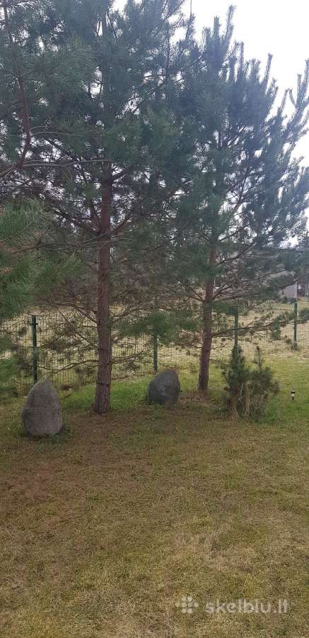 Parduodu sodą Kaubariškyje