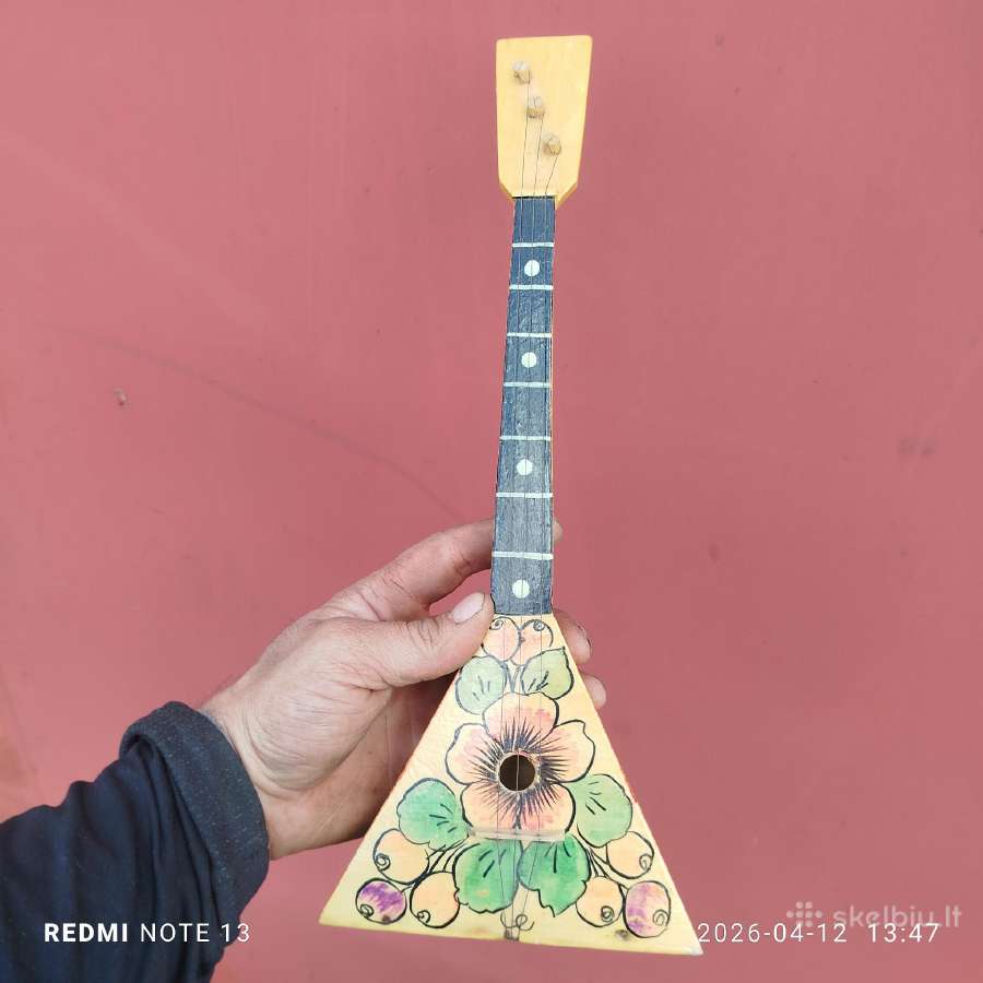 Gitaros,gitaros pedalas - nuotraukos Nr. 7