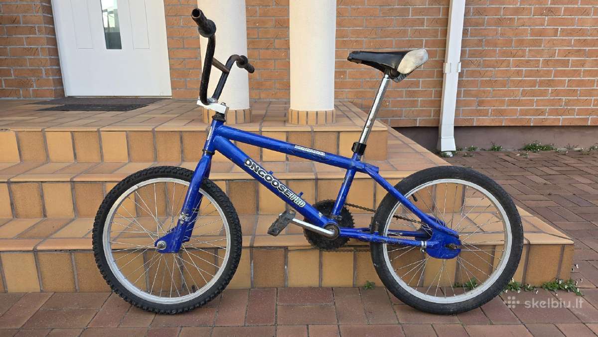Dviratis Mongoose motivator Pro.