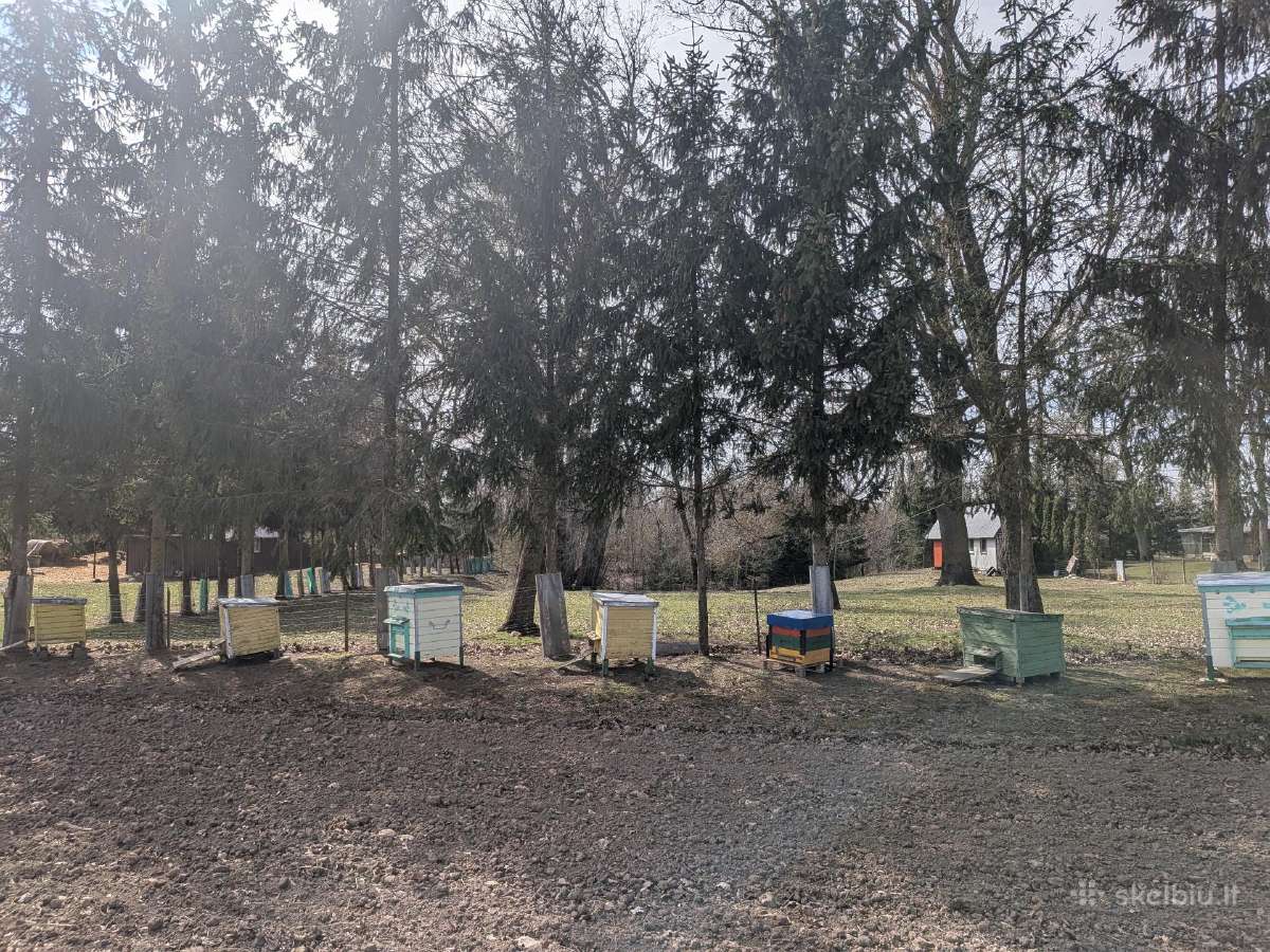 Šeimos su aviliais