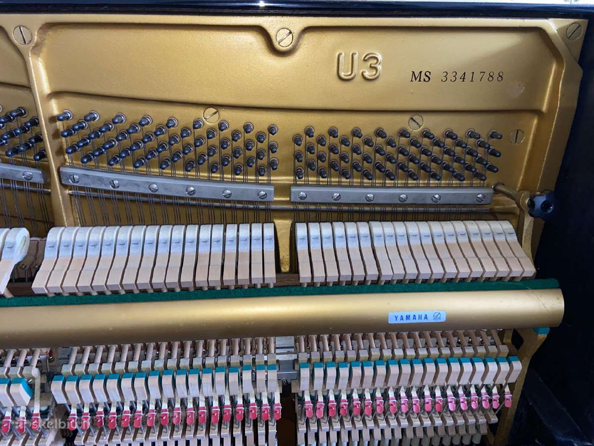 Koncertinis Yamaha U3 mod. 131 made in Japan - nuotraukos Nr. 9