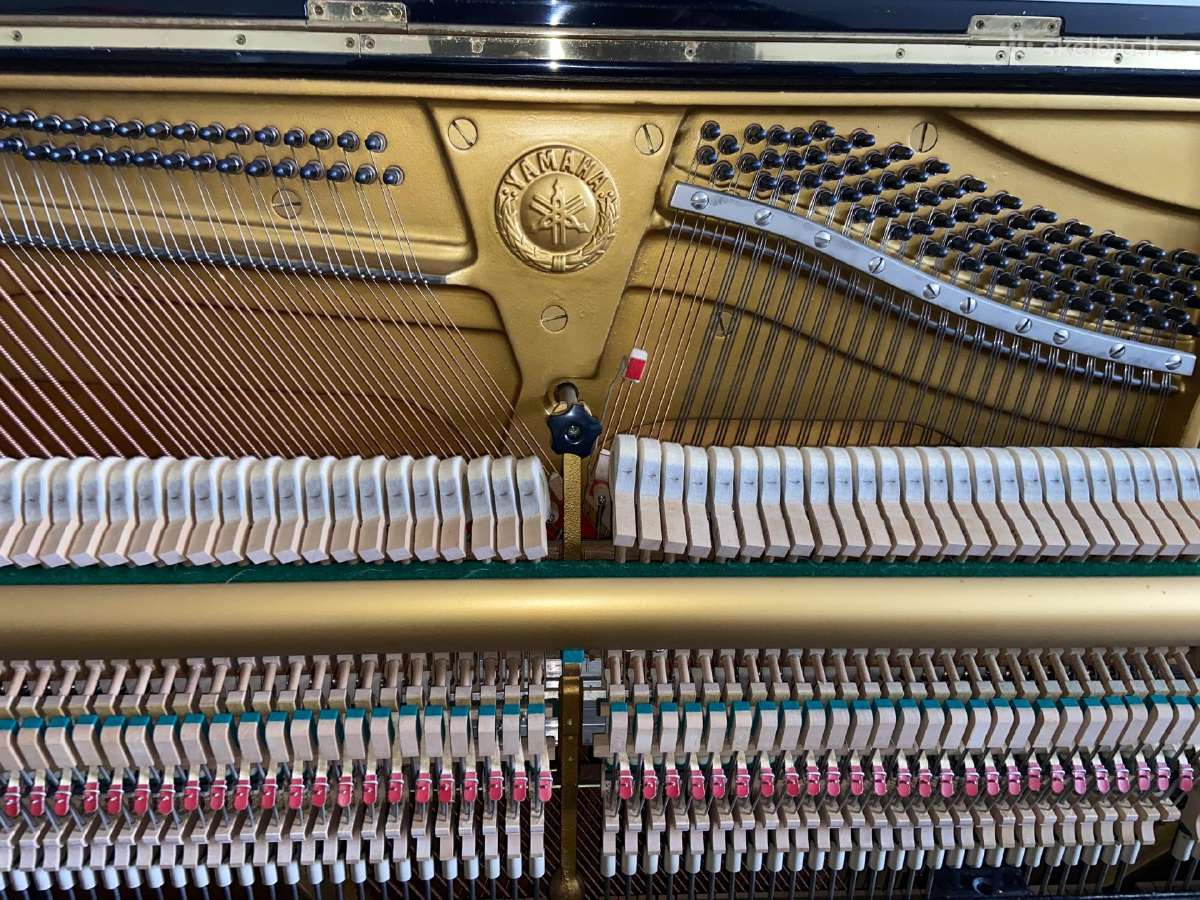 Koncertinis Yamaha U3 mod. 131 made in Japan - nuotraukos Nr. 11