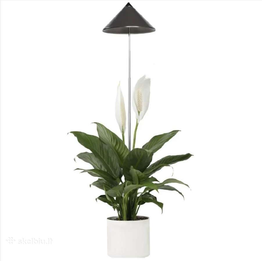 LED lempa augalams - nuotraukos Nr. 4