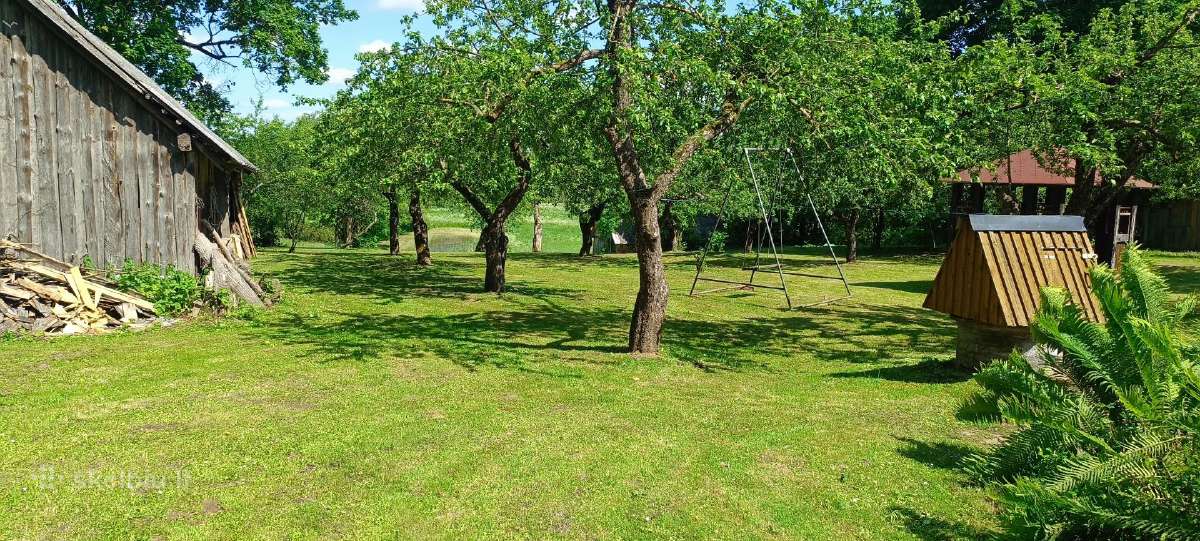 Sodybų priežiūra,medžių genėjimas, žolės pjovimas. - nuotraukos Nr. 8