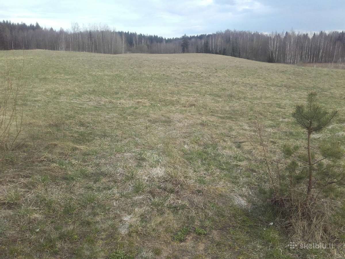 Žirgų pensionas