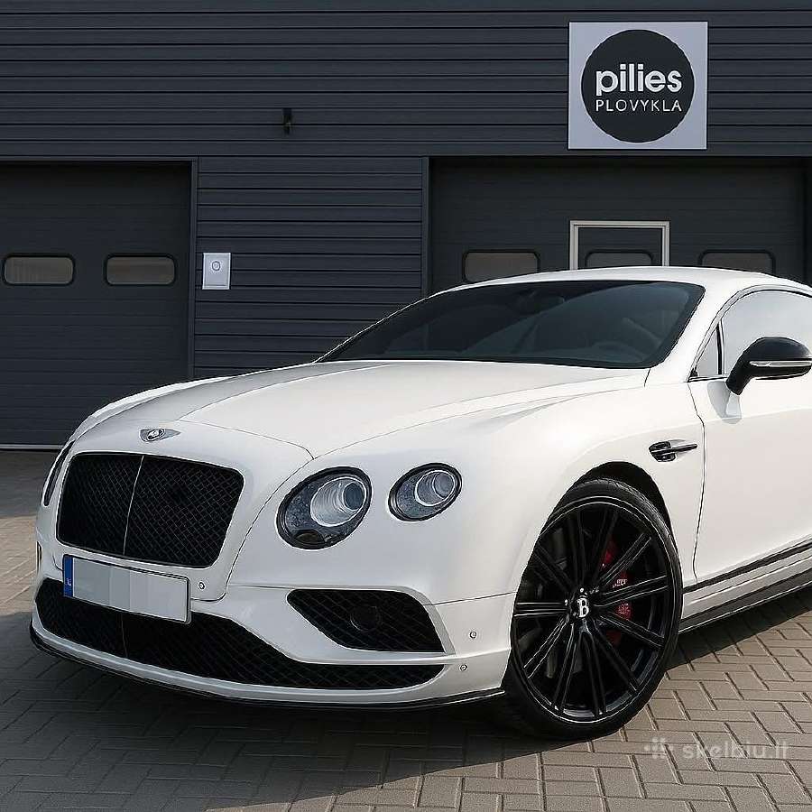 Variklių plovimas Automobilių Plovimas ir Valymas - nuotraukos Nr. 31