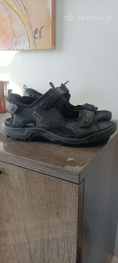 Ecco '43