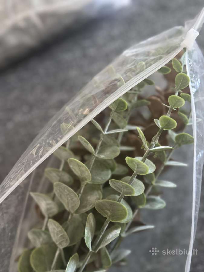 Dekoratyvinės šakelės - nuotraukos Nr. 2