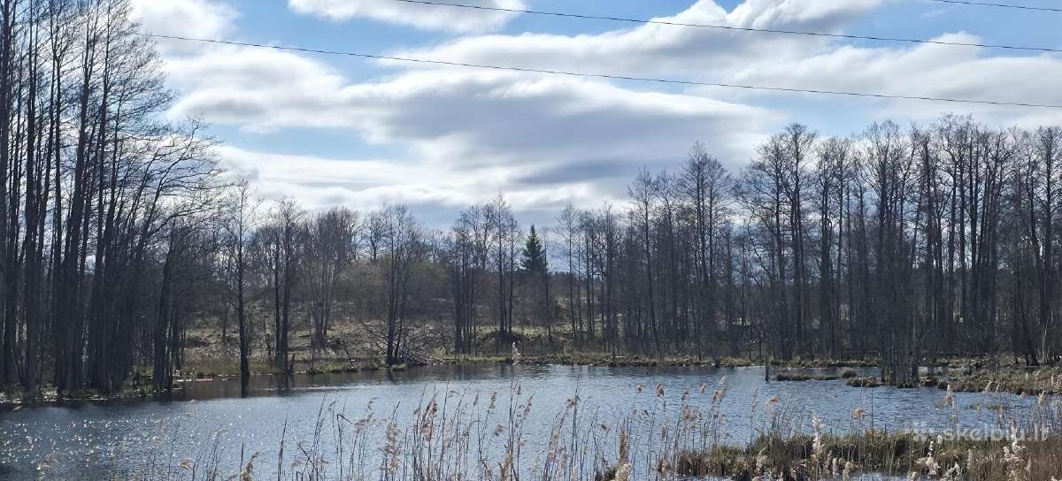 8 ha sklypas veiklai su dalinai betono danga. - nuotraukos Nr. 18
