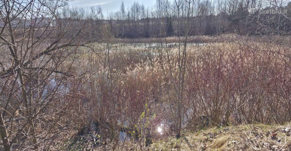 8 ha sklypas veiklai su dalinai betono danga. - nuotraukos Nr. 16
