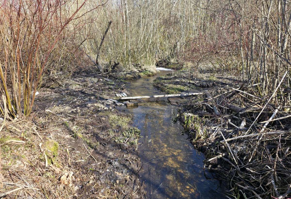 8 ha sklypas veiklai su dalinai betono danga. - nuotraukos Nr. 17