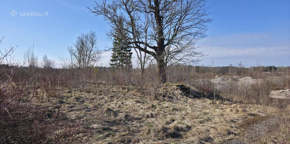 8 ha sklypas veiklai su dalinai betono danga. - nuotraukos Nr. 15
