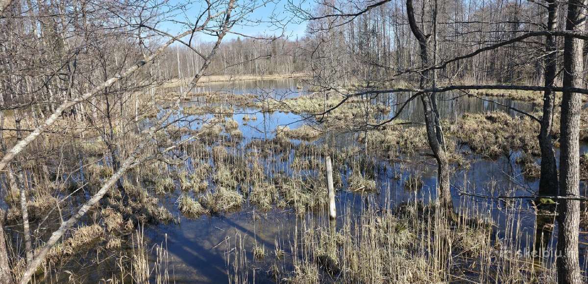 8 ha sklypas veiklai su dalinai betono danga. - nuotraukos Nr. 20