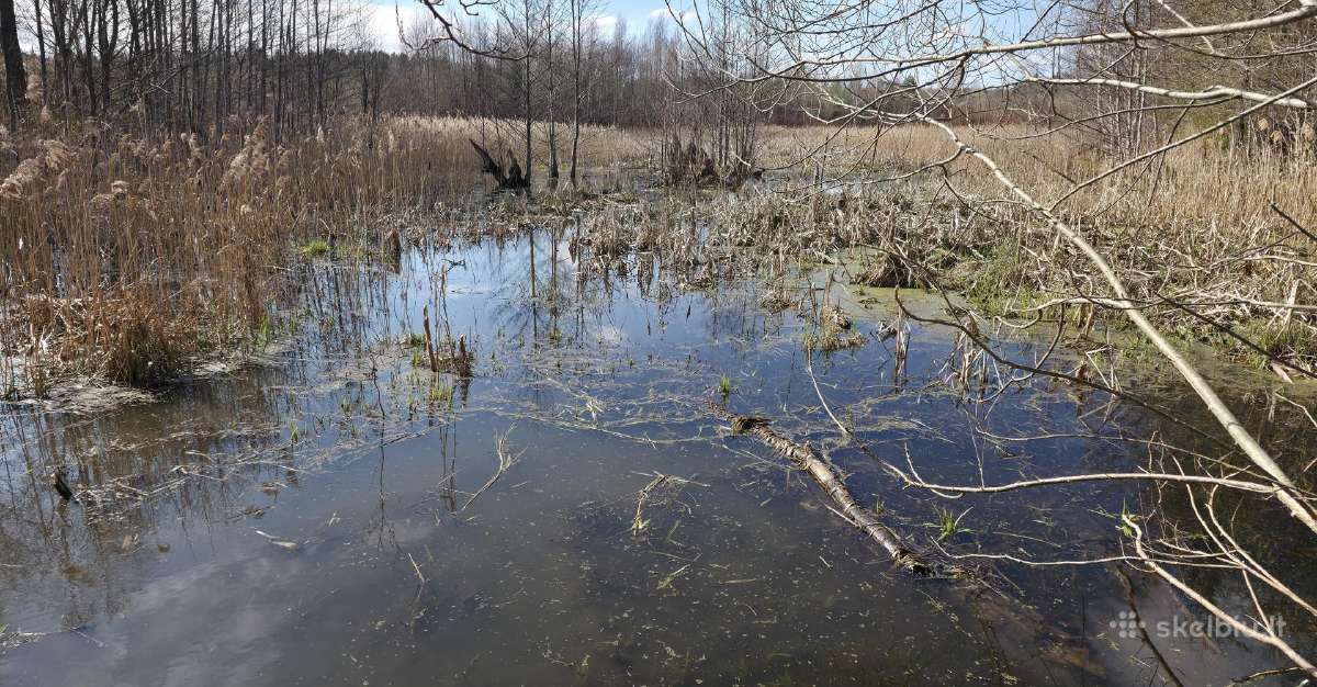 8 ha sklypas veiklai su dalinai betono danga. - nuotraukos Nr. 21