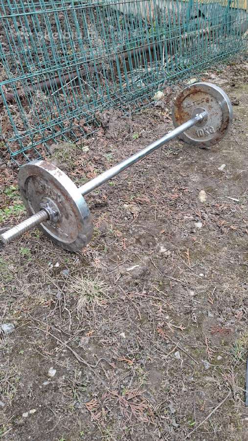 Dydelis Grifas su svarmenimis