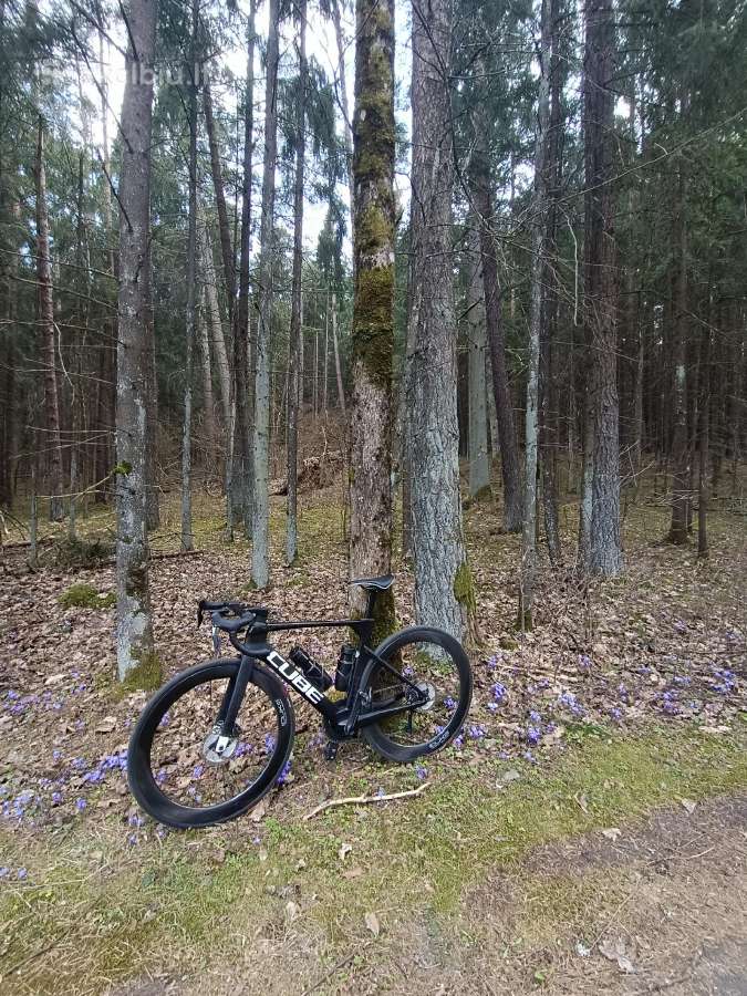 Plento dviratis Cube Litening C:68x Pro - nuotraukos Nr. 3