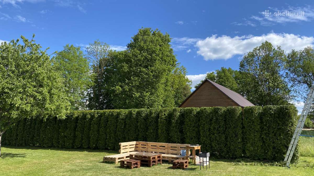 Gyvatvorių karpymas, formavimas - nuotraukos Nr. 3