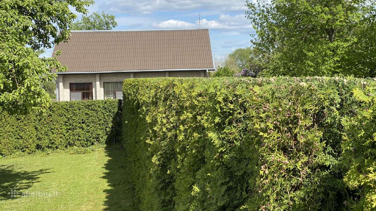 Gyvatvorių karpymas, formavimas - nuotraukos Nr. 5