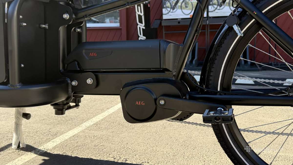 E-bike Prophete Cargo 22.etl.20 // 250w iki 100nm - nuotraukos Nr. 6