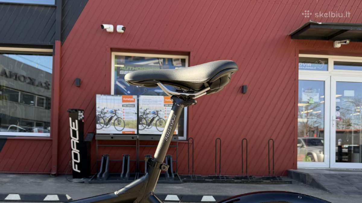 E-bike Prophete Cargo 22.etl.20 // 250w iki 100nm - nuotraukos Nr. 7