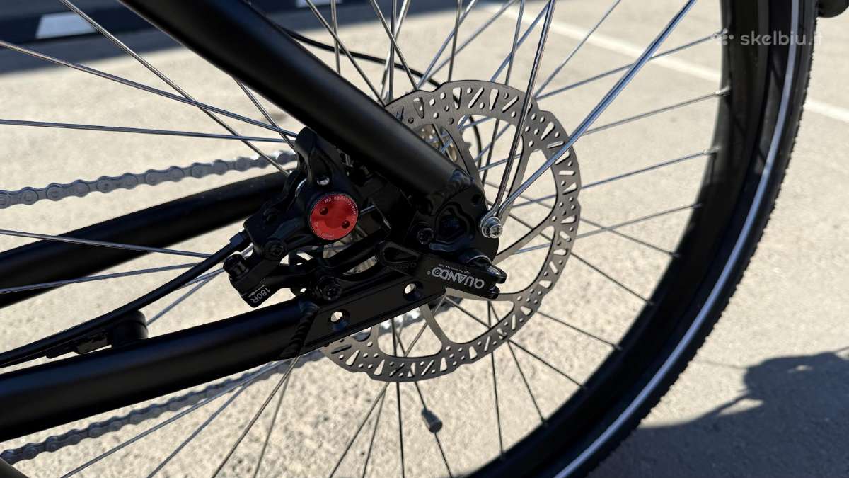 E-bike Prophete Cargo 22.etl.20 // 250w iki 100nm - nuotraukos Nr. 9