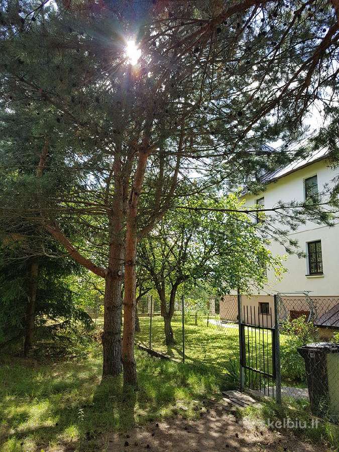 Parduodamas namas Didžiojoje Riešėje - nuotraukos Nr. 14