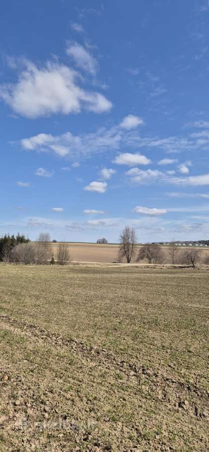 Parduodami namų valdos sklypai Kvietinių km. - nuotraukos Nr. 5