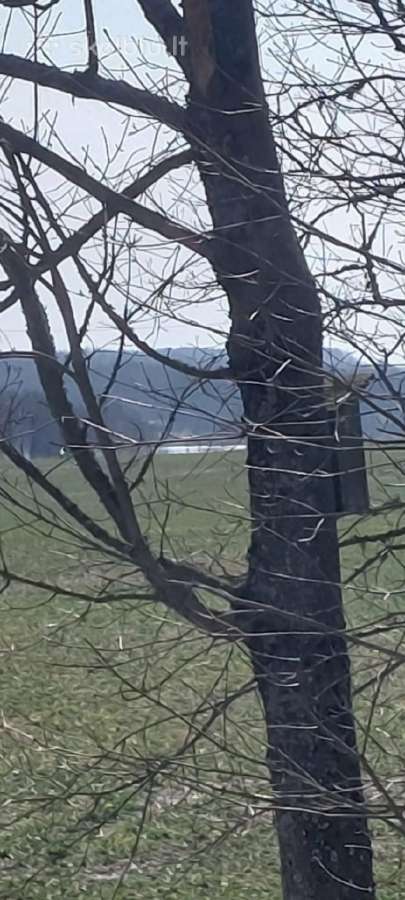 Rezidencija netoli ežero su tvenkiniu ir pirtimi - nuotraukos Nr. 31