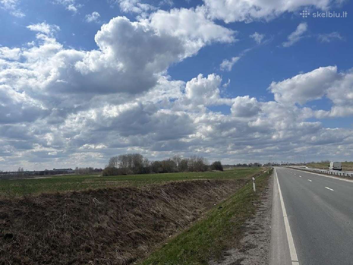 Žemės sklypas Aleksandrijoje - nuotraukos Nr. 6