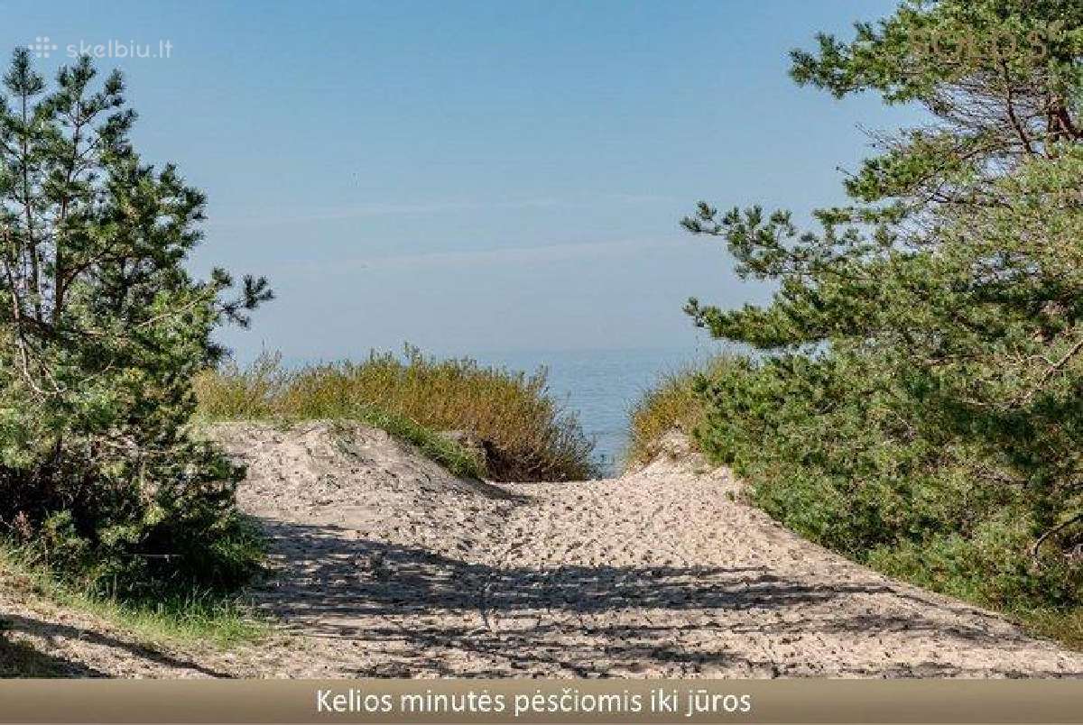 Genio g. 36 Palanga sklypas su statybos leidimu. - nuotraukos Nr. 10