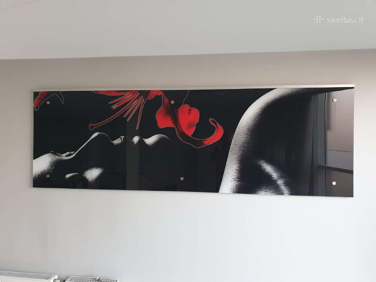 820x2500mm paveikslas - nuotraukos Nr. 2