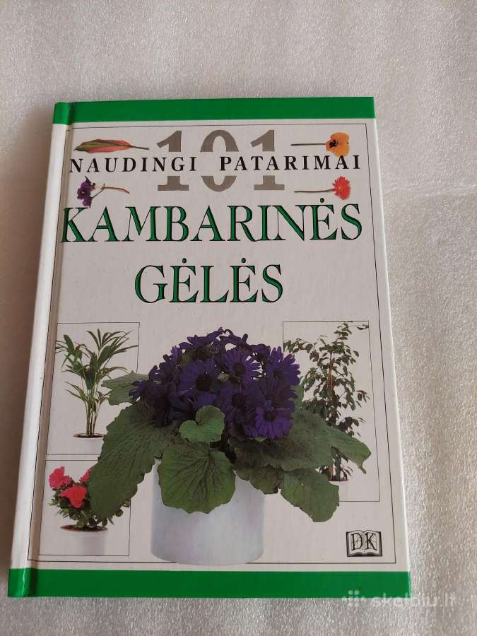 Kambarinės gėlės