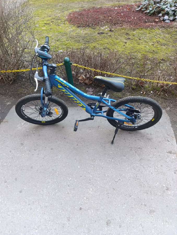 Vaikiškas dviratis Gust Frizzy