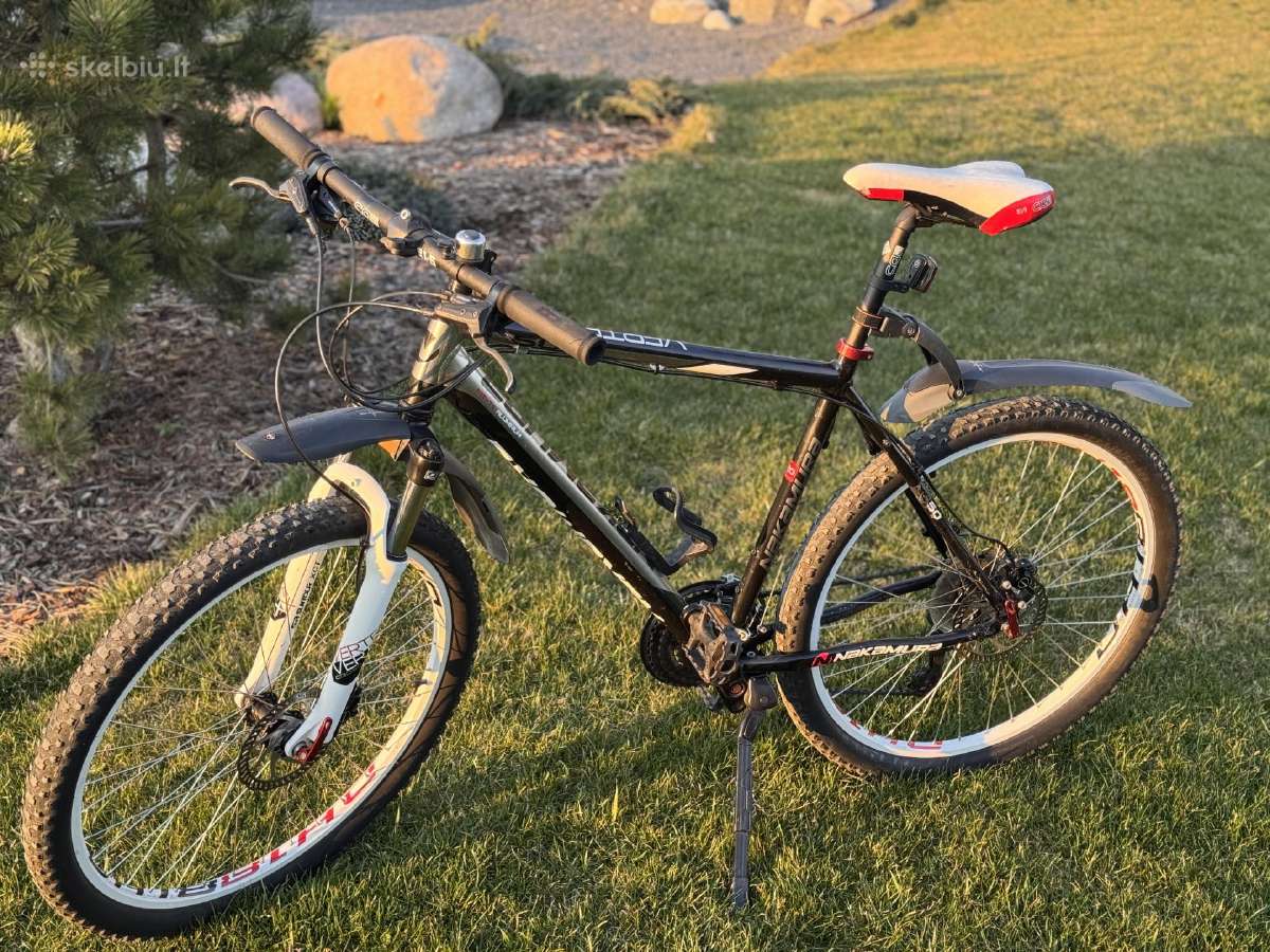 Dviratis Vertex Xc50